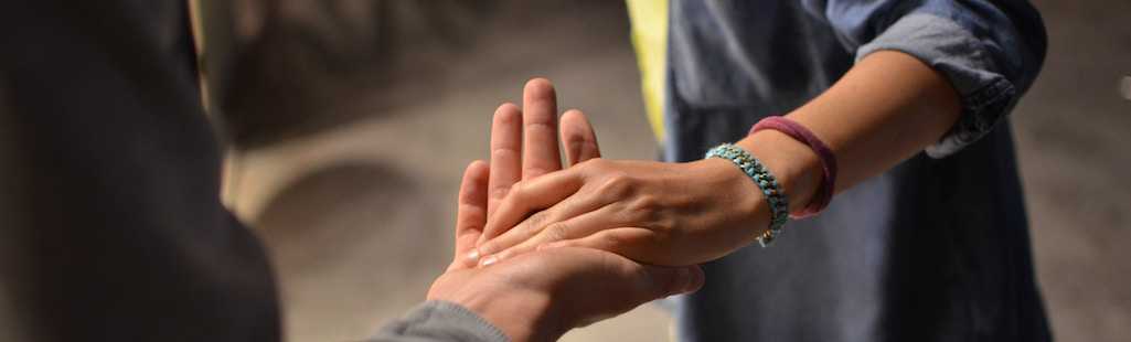 decorative element for the About Insurance section